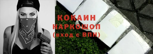 спайс Корсаков