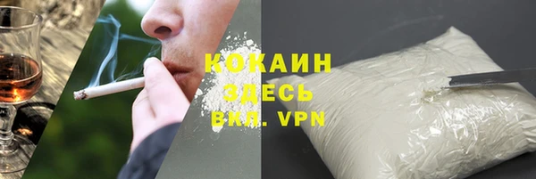 спайс Корсаков