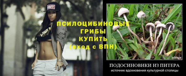 спайс Корсаков